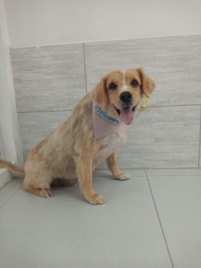 WhatsApp Image 2020-02-05 at 15.09.13.jpeg