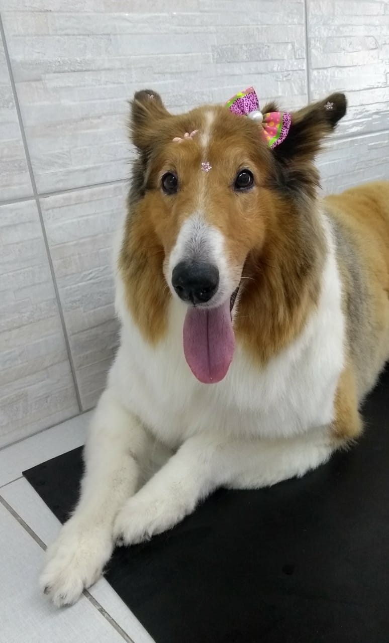 WhatsApp Image 2020-01-17 at 10.55.16.jpeg