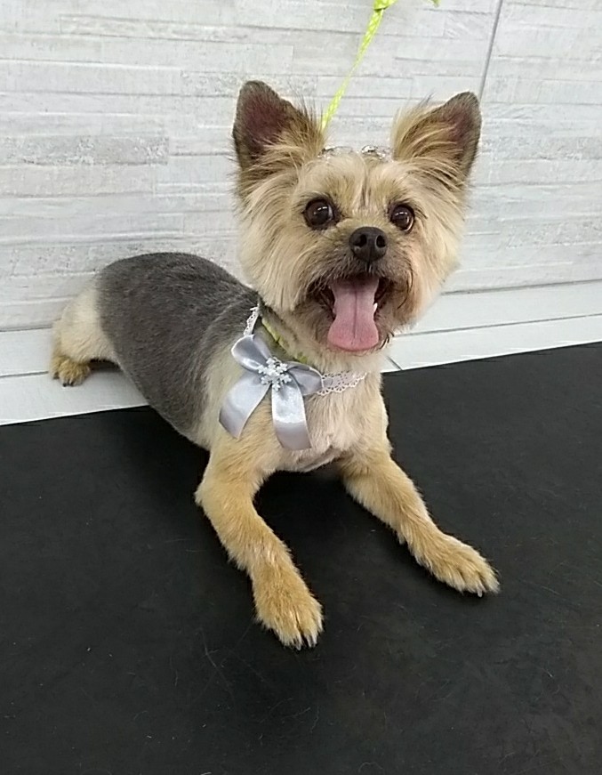 WhatsApp Image 2019-12-31 at 14.46.45.jpeg