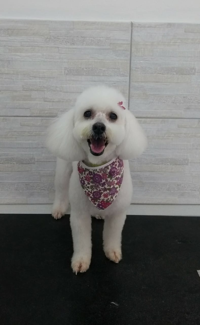 WhatsApp Image 2020-01-20 at 12.45.04.jpeg