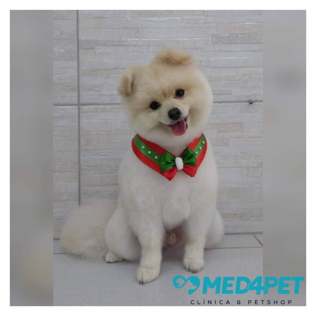 WhatsApp Image 2019-12-16 at 09.26.38 (1).jpeg