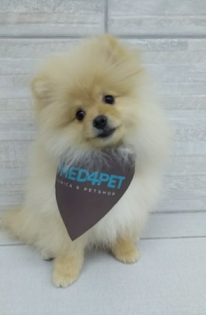 WhatsApp Image 2020-01-02 at 15.43.23.jpeg